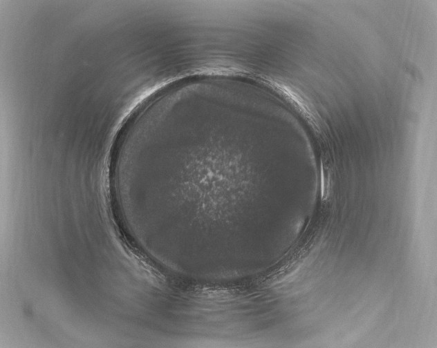 X0000115060531200911161610