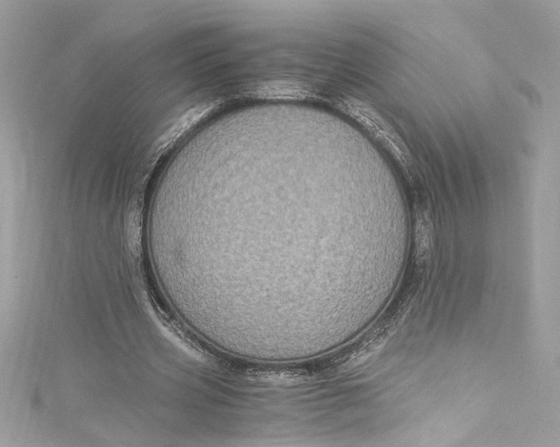 X0000115060533200911161610