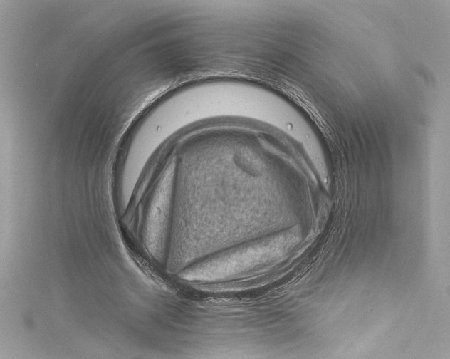 X0000115060534200911161610