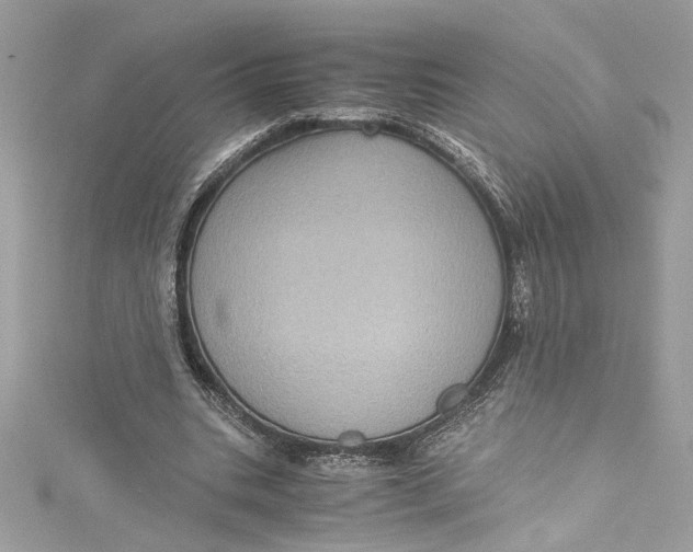 X0000115060535200911161610