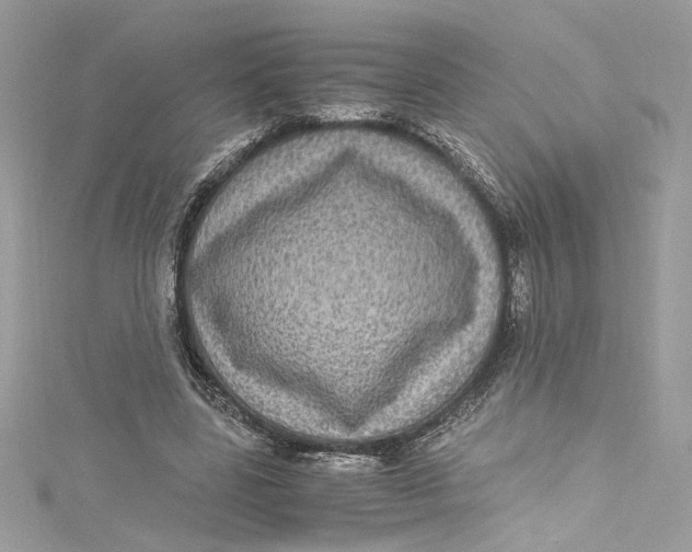 X0000115060539200911161610