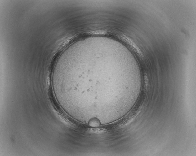 X0000115060541200911161611