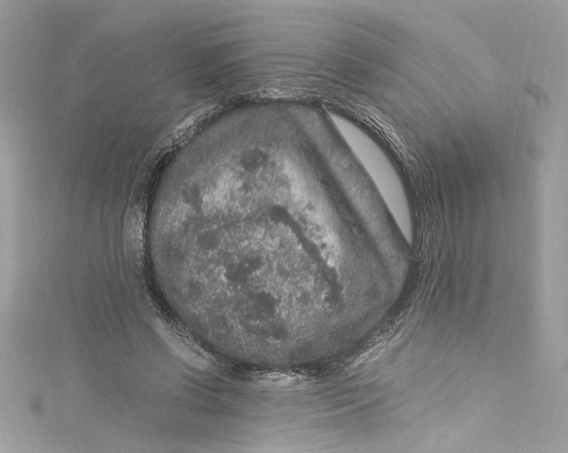 X0000115060542200911161611