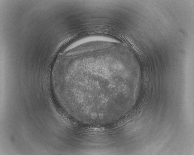 X0000115060543200911161611