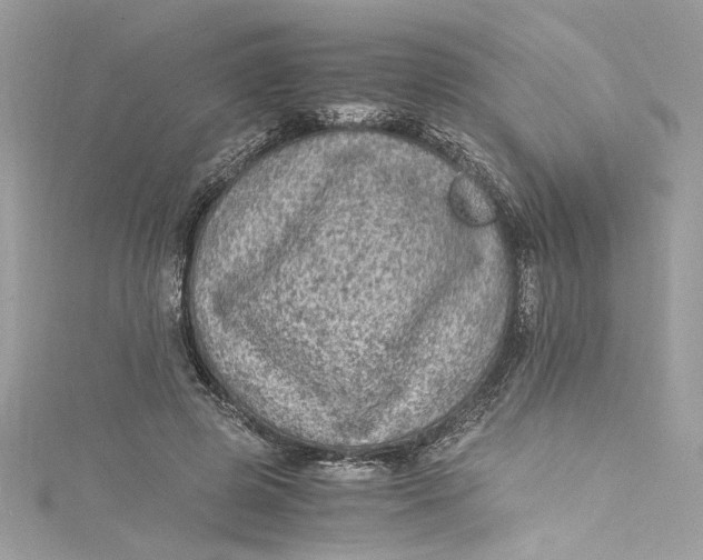 X0000115060545200911161611