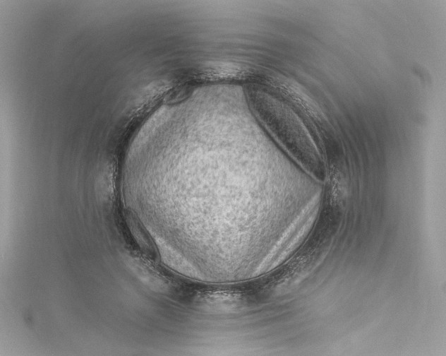 X0000115060546200911161611