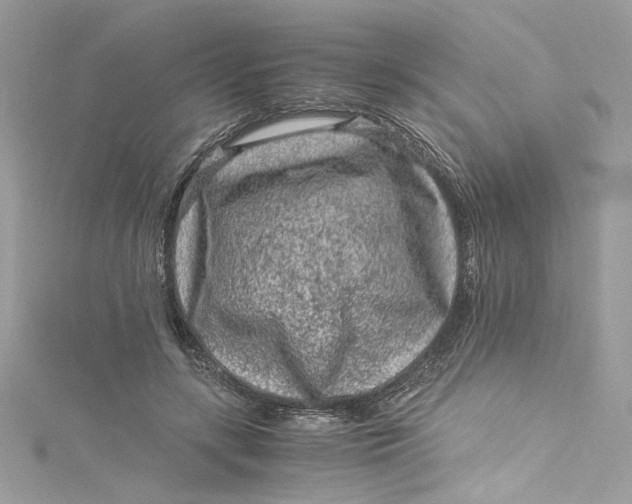 X0000115060547200911161611