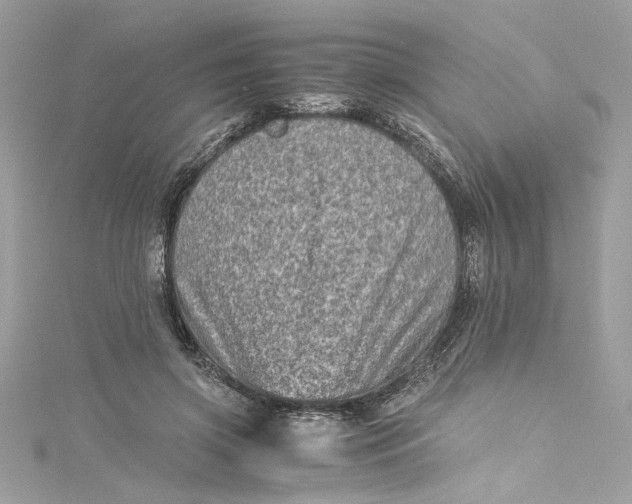 X0000115060549200911161611