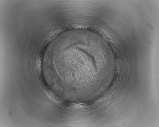 X0000115060550200911161611