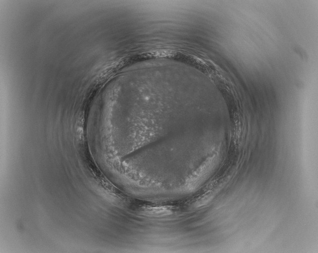 X0000115060553200911161611