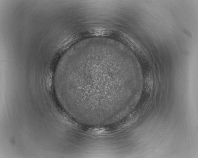 X0000115060554200911161611