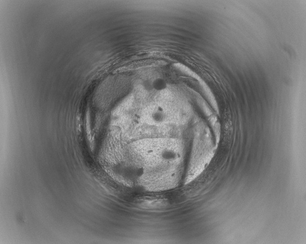 X0000115060555200911161611