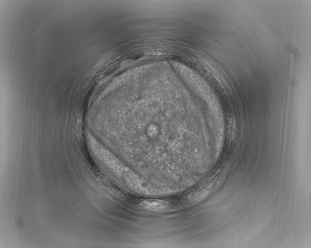 X0000115060557200911161611