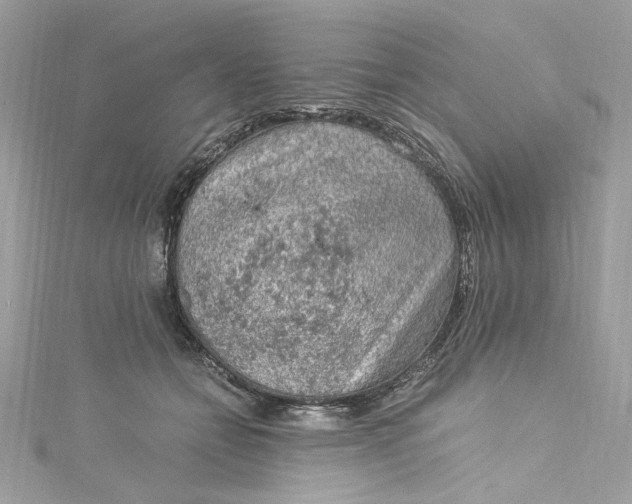 X0000115060558200911161611