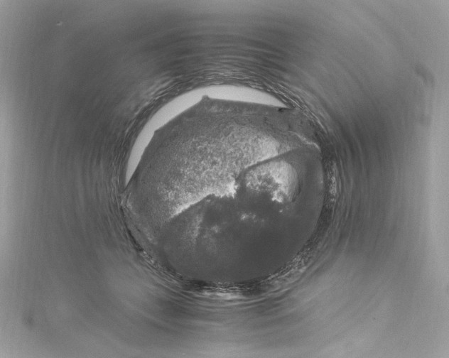 X0000115060559200911161611