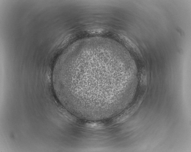 X0000115060561200911161611