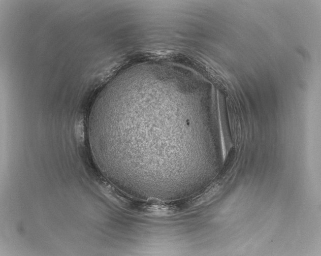 X0000115060562200911161611