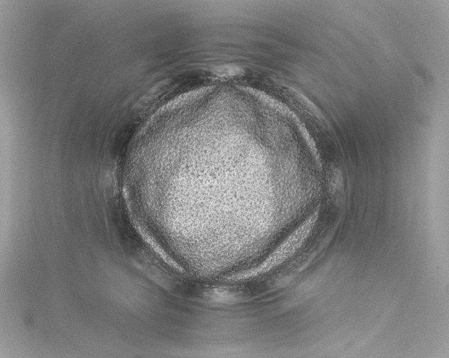 X0000115060565200911161611