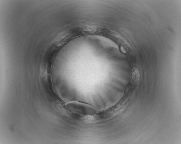 X0000115060566200911161611