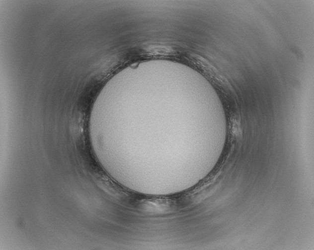 X0000115060567200911161611