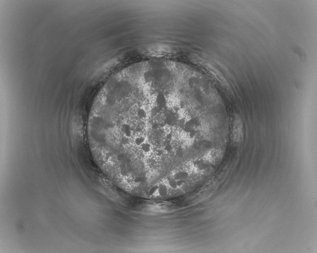 X0000115060569200911161611