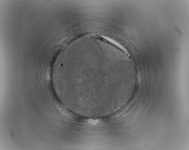 X0000115060570200911161611