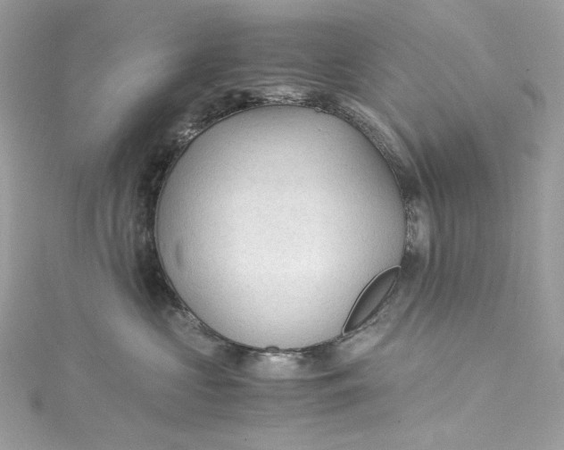 X0000115060573200911161611