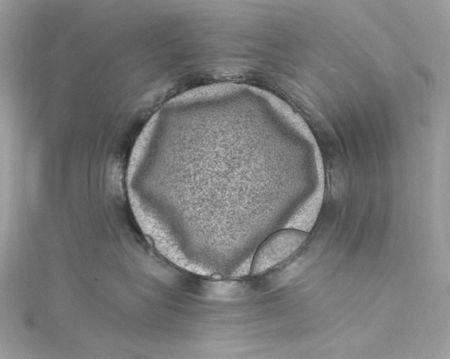 X0000115060575200911161611