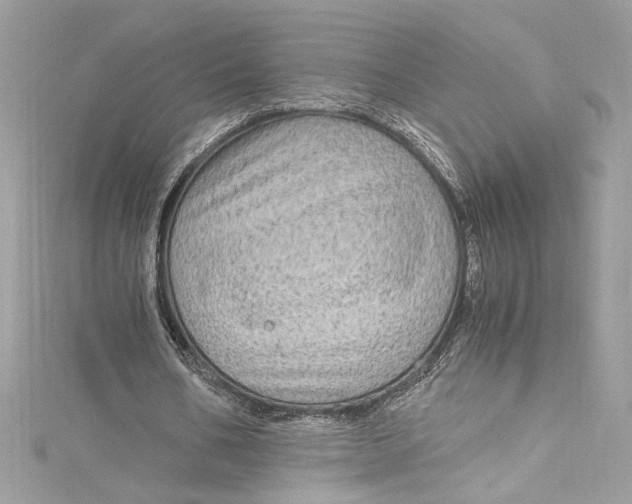 X0000115060578200911161610