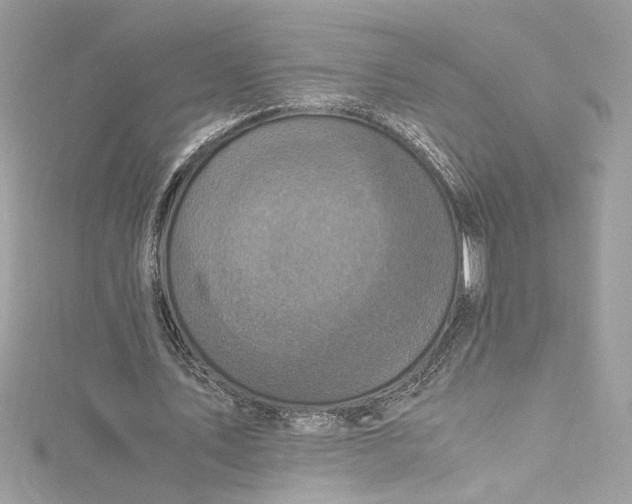 X0000115060579200911161610