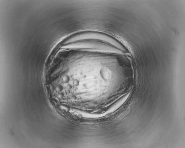 X0000115060580200911161610