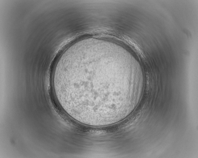 X0000115060582200911161610