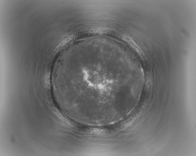 X0000115060585200911161610