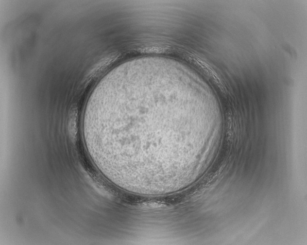 X0000115060586200911161610