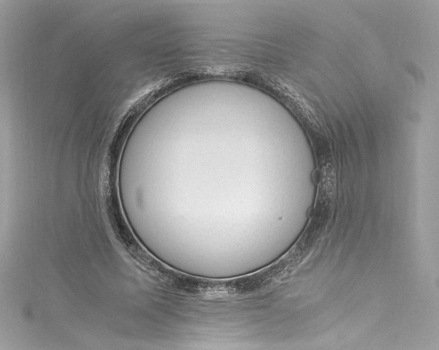 X0000115060587200911161610