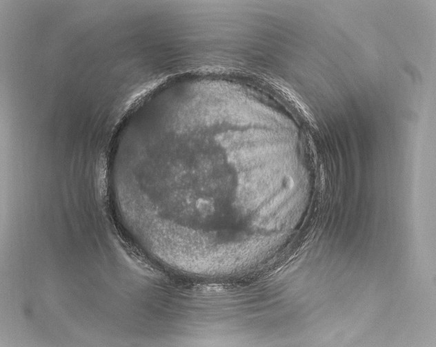 X0000115060588200911161610