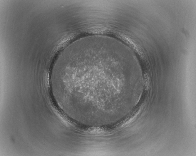 X0000115060589200911161610