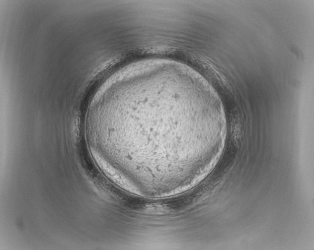 X0000115060591200911161610