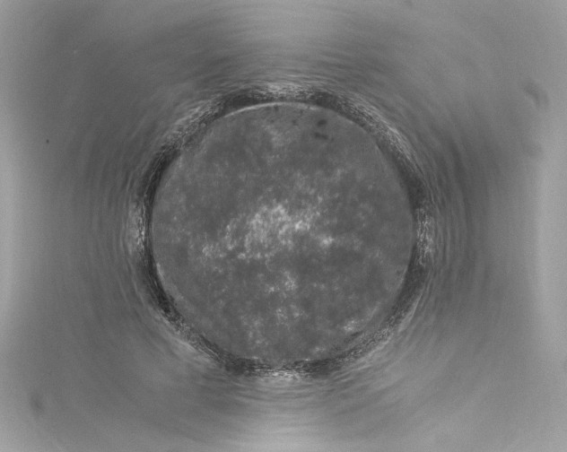 X0000115060593200911161610