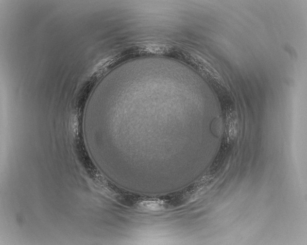 X0000115060595200911161610