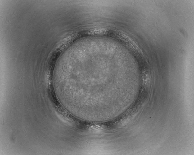 X0000115060599200911161610