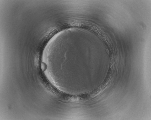 X0000115060600200911161610