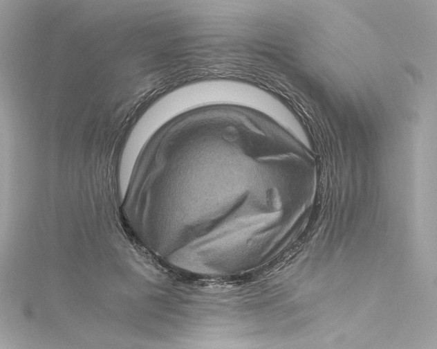 X0000115060601200911161610