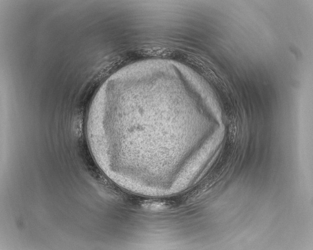 X0000115060602200911161610