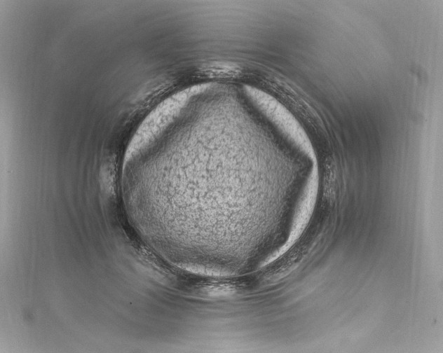 X0000115060604200911161610