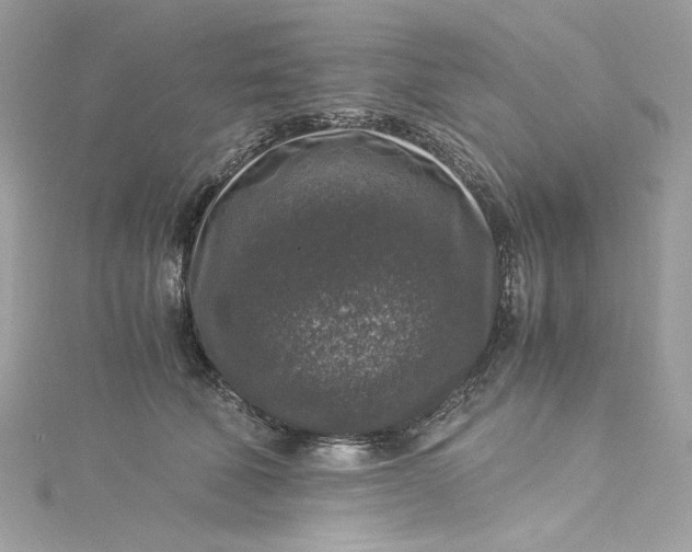 X0000115060610200911161610