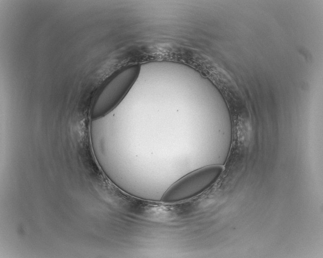 X0000115060611200911161610