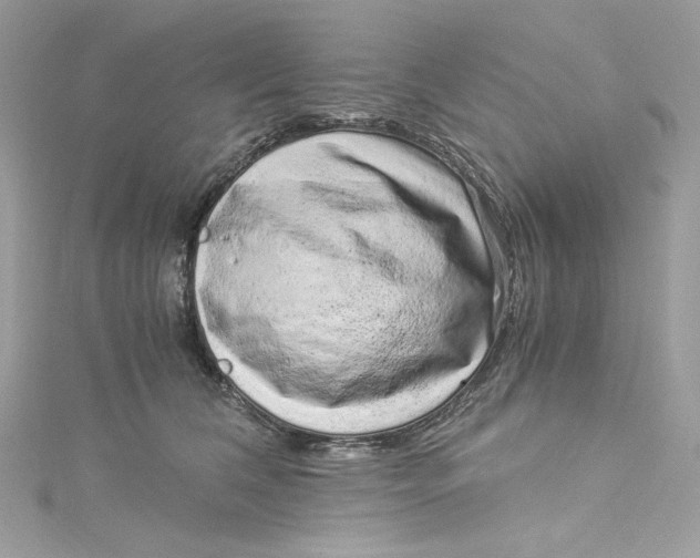 X0000115060612200911161610