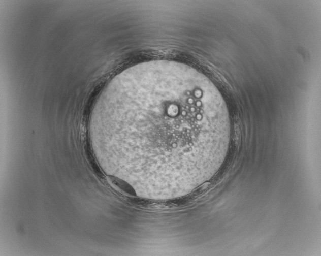 X0000115060613200911161610