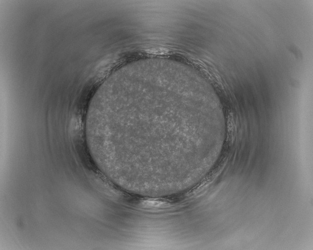 X0000115060614200911161610